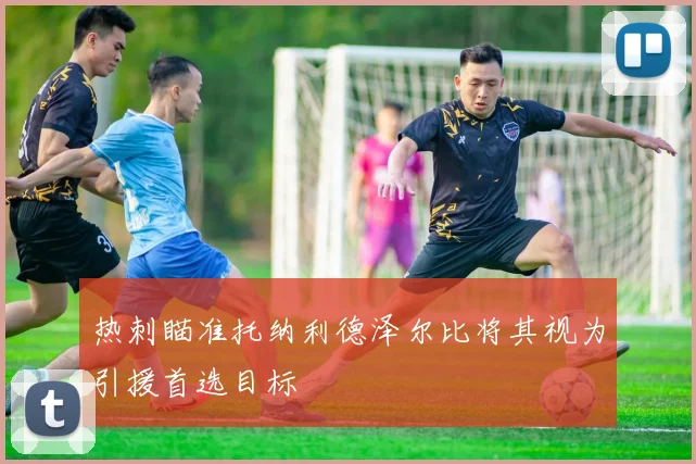 热刺瞄准托纳利德泽尔比将其视为引援首选目标