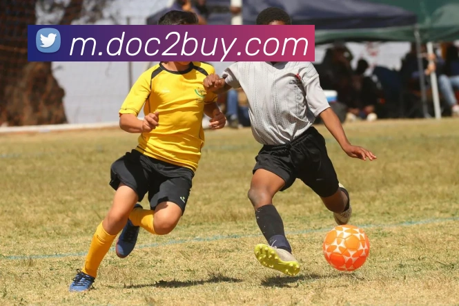 平台使命图
